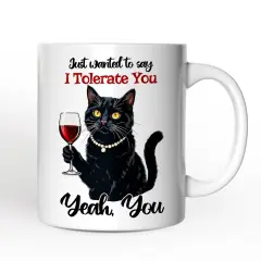 Just Wanted to Say I Tolerate You Mug, Funny Sarcastic Black Cat Lover Gift