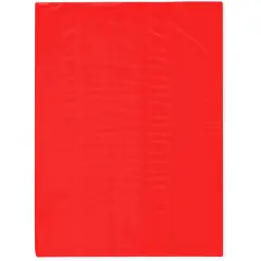Plymor 9" x 12", Red 2 Mil Flat Open Plastic Poly Bags