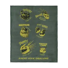 Universal How to Train Your Dragon Silk Touch Throw Blanket Know Your Dragons