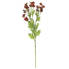 Chamomile Flower Spray Red