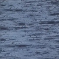 Dark Blue Wood Grain Cotton Fabric by the 48 Inch Long