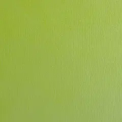 CHARTREUSE - Textured 12x12 Cardstock - Encore Paper