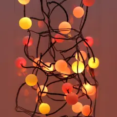 40 Berry Cluster Lights - Outdoor/Indoor Christmas Lights with Timer