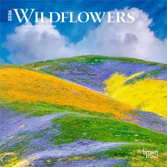 Wildflowers | 2026 7 x 14 Inch (Hanging) Monthly Mini Wall Calendar