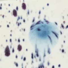 $product['description']['title']}