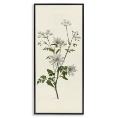 Stupell Industries Budding Wild Herbs Framed Giclee By Nan