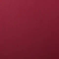 Colorplan by Legion Papers 11" x 17" - 130 Lb. / 18.5 pts Matte Premium Cardstock Paper Cover Sheet - 50 Sheets