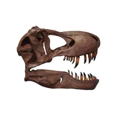 T-Rex Skull Wall Decor Life Size Statue