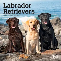 Labrador Retrievers | 2026 7 x 14 Inch (Hanging) Monthly Mini Wall Calendar