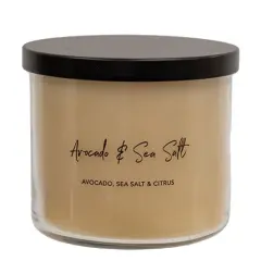 Avocado & Sea Salt Color Changing Candle 15.5oz