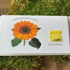 Happy Birthday - Sunflower