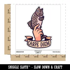 Water Bottle Sticker Set Carpe Diem Funny Hand Holding Fish Carp Cute Waterproof Vinyl Stickers Pack Decal, Skateboard, Laptop, Car, Window, Bumper - 5 Pack