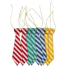 HARRY POTTER X BONJOUR F&Ecirc;TE HOUSE PRIDE MULTICOLOR HOGWARTS TIES