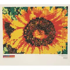 Stick Together Sunflower Sticker Mosaic, Perfect Collaborative Group Project, For Kids, Adults, Sticker by Number, Includes Poster, Stickers, Color Key, and Instructions. Project is 40&rdquo; x 36&rdquo;