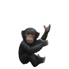 Monkey Chimpanzee Congo Life Size Statue