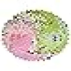 Precut Quilt Cotton Fabric Squares for Quilting Clearance