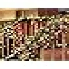 Green Wire LED String Lights for Home