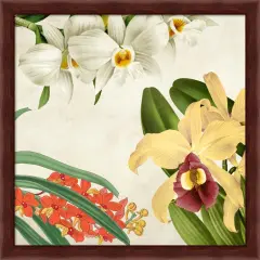 Panneau Botanique VIII by Remy Dellal 13" x 13" Framed Wall Art