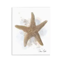Stupell Industries Honeybloom Coastal Starfish Wall Plaque, design by Matthew Piotrowicz