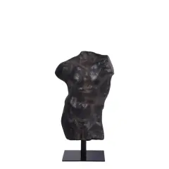 Aged Black Finish Andrea Male Torso Life Size Statue