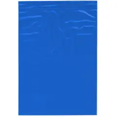 Plymor 9" x 12", Blue 2 Mil Zipper Reclosable Plastic Bags