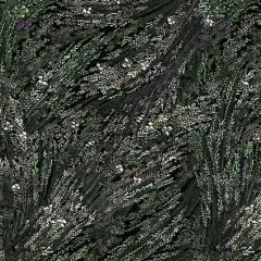 Black Meadow Breeze Cotton Wideback Fabric per yard