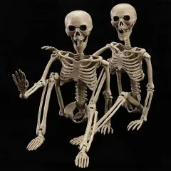 2 Pack 40 Inches Halloween Skeleton