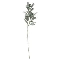 Frosted Lamb's Ear Spray