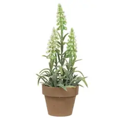 Potted Mountain Bells White