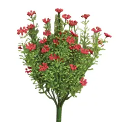 Astilbe Bush With Leafy Stems Red