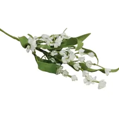 Lily Of The Valley Pick Cream