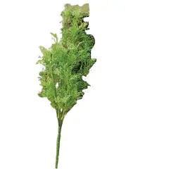 19-Inch Green Coral Fern Brush Perfect for Interiors or Tabletops