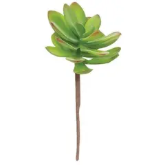 Green Torch Succulent Pick with Brown Stem