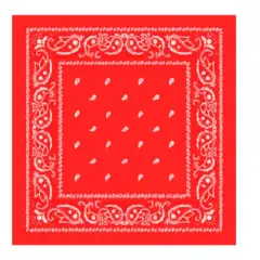 Red Paisley Edible Cake topper fits 1/4 sheet cake or larger