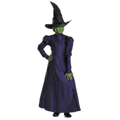 Toddler Deluxe Wicked Elphaba Costume Purple Dress Cape Hat Toddler Size Fits 3T&ndash;4T