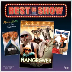 Best in Show OFFICIAL | 2026 12 x 24 Inch (Hanging) Monthly Square Wall Calendar | Plastic-Free