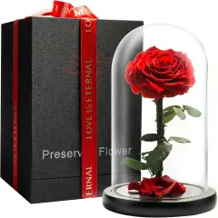Eternal Rose in Glass Dome (Red, 9 Inch)