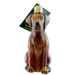 Old World Christmas 4.0 Inch Labrador Retriever Chocolate Christmas Tree Ornament , Christmas Decor Dog Lab Best Friend Brown