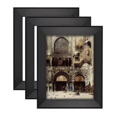Expositions Open-Back Picture Frames For Paintings, Photos & Prints - With Black, Set of 3 12x16" - Gallery Wall Frame- Eco-Friendly Renewal Core -Made in USA