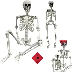 5.4ft/165cm Halloween Skeleton - Life Size Skeleton