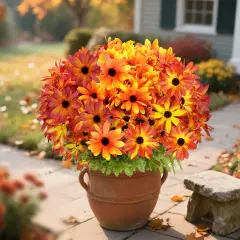 6 Bundles Fall Flowers Artificial for Decoration