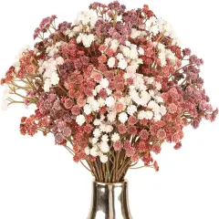Baby Breath Flowers Fall Flowers Artificial
