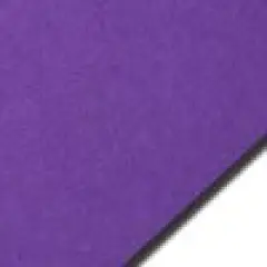 Colorplan PURPLE - 12" x 12" - 100 Lb. / 270 Gsm Matte Premium Cardstock Paper Cover Sheet - 100 Sheets
