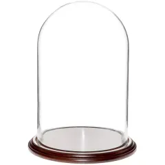 Plymor 9.75" x 15" Glass Display Dome Cloche Dark Mahogany Veneer