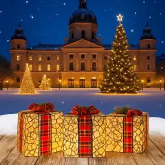 3 Set of Rattan Storage Box Small Medium Large Woven Baskets