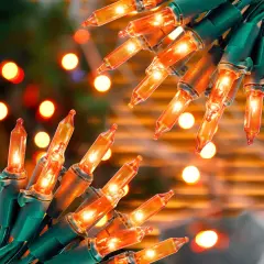 2 Pack Orange Halloween String Lights - 13FT, 50 LED