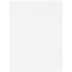 Plymor 9" x 12", White 2 Mil Flat Open Plastic Poly Bags