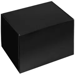 Pack/6: Black Decorative Mailer - 12 x 9 x 5"