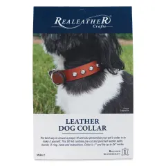 Realeather Stained Torino Leather Dog Collar - Large, Kit of 7