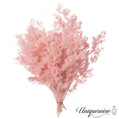 Uniquewise Preserved Real Floral Stems Chic Vase Fillers & Accents for Bouquets Centerpieces & Ornamental Displays Ideal for Home Office Boutique Cafe Resto Bar and Event Decor Lp peng lai song